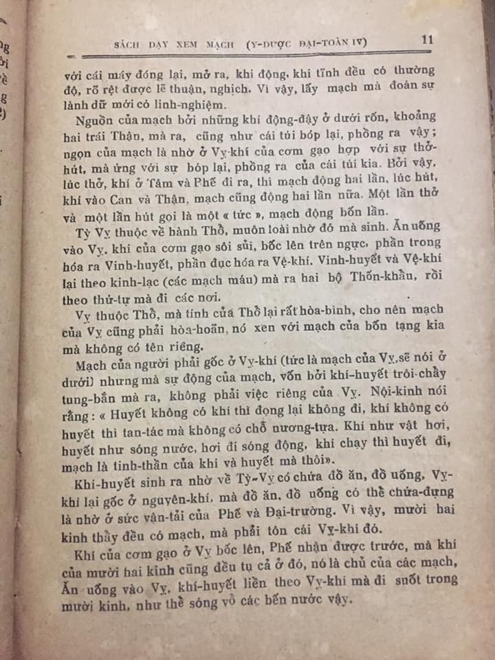 121741166_5181108205236523_2844224488091368873_n.jpg
