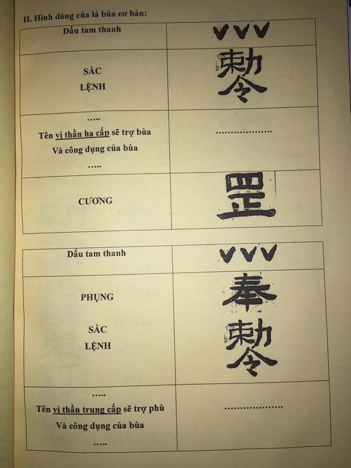 50911485_832083497141736_7966011281389912064_n.jpg