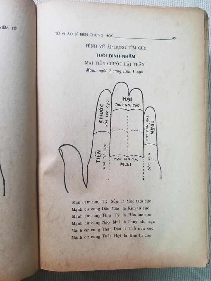 67895024_129683934963983_5777949284888477696_n.jpg