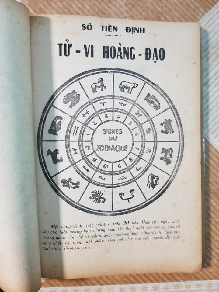 69005558_130438014888575_6357883806740905984_n.jpg