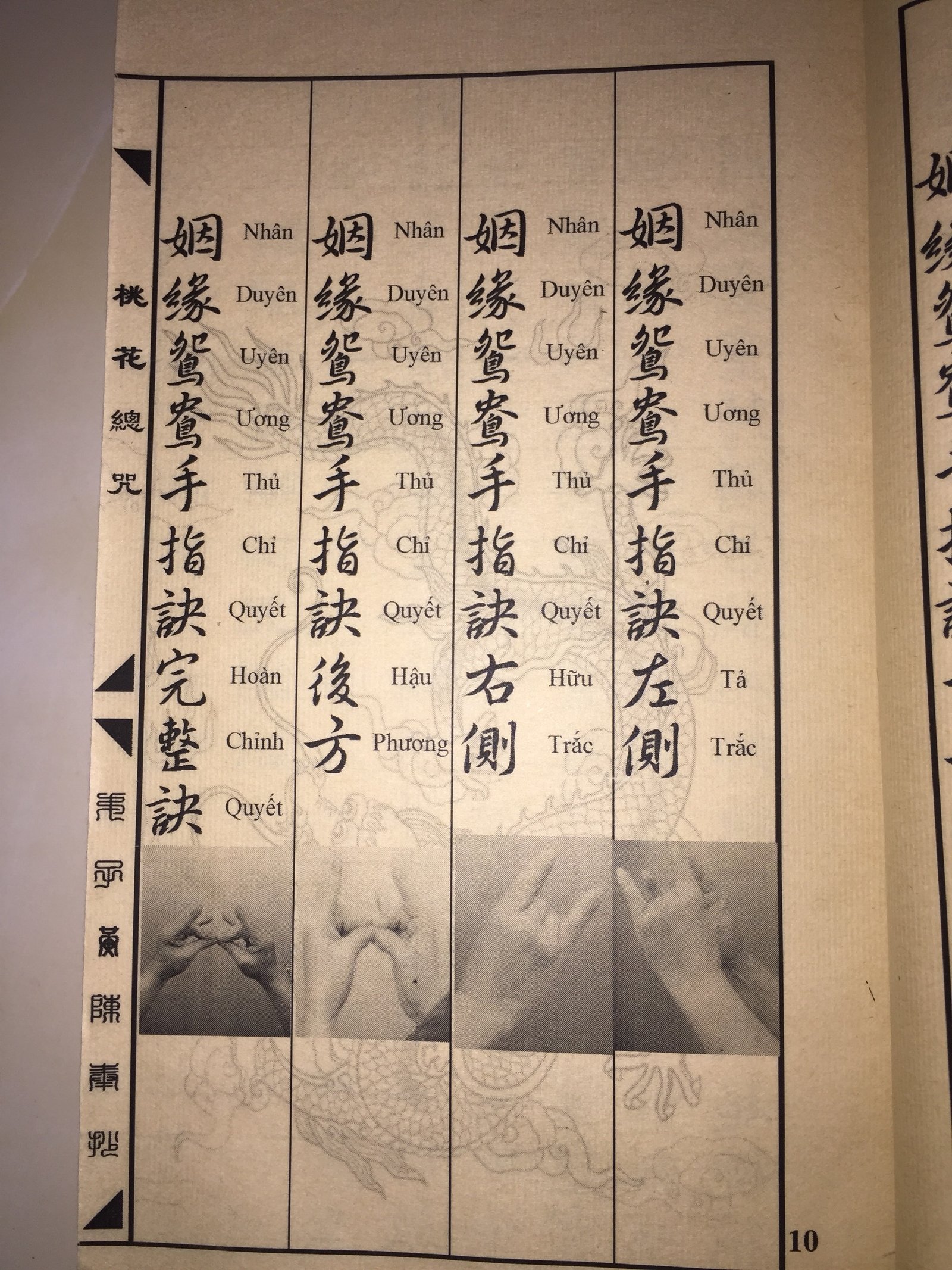 Cau-Dao-Hoa-Nhan-Duyen-Chu-Vo-Chong-Hoa-Hop-3.jpg