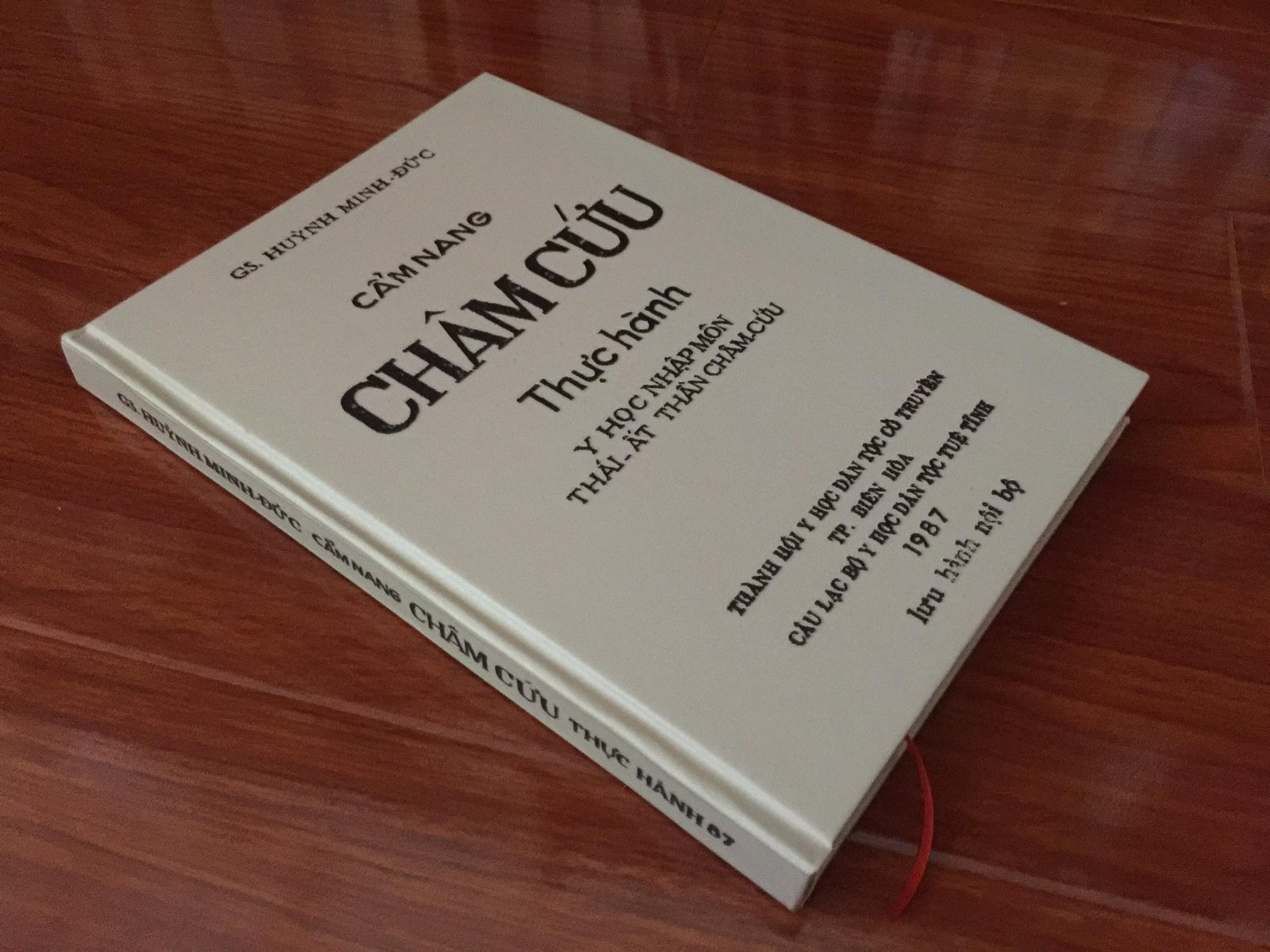 Cham-Cuu-Thuc-Hanh-Y-Hoc-Nhap-Mon-Thai-At-Than-Cham-Gs.-Huynh-Minh-Duc.jpg