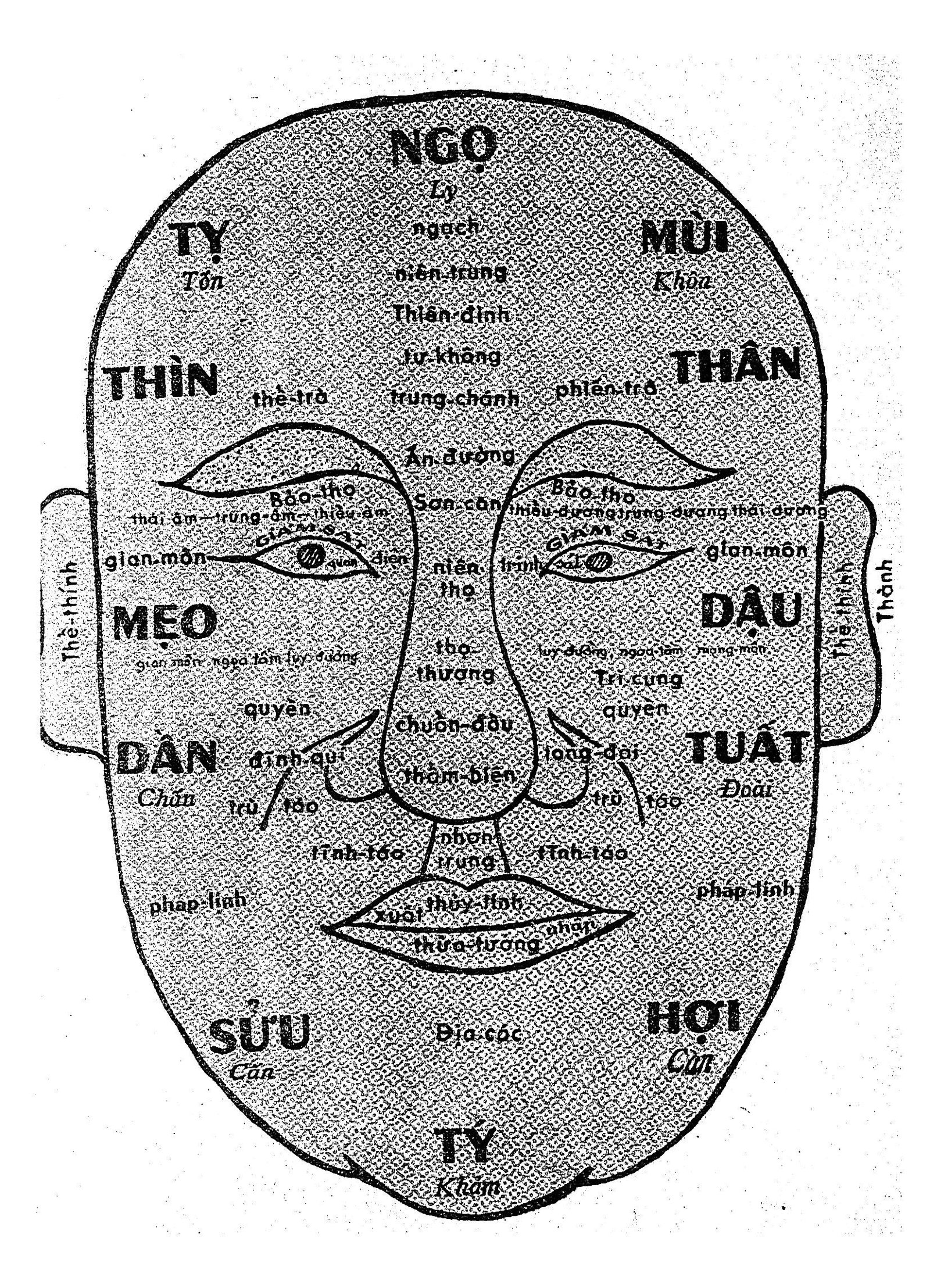 Chi-Tay-Tien-Dinh-So-Tien-Dinh-Tuong-Ly-Huynh-Chon-Vien-Tai-Ha-Tan-Phat-Gia-Cat-Ton-5.jpg