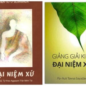 Combo Đại Niệm Xứ Và Giảng Giải Kinh Đại Niệm Xứ - Thiền sư U Sīlānanda & Pa-Auk Tawya Sayadaw