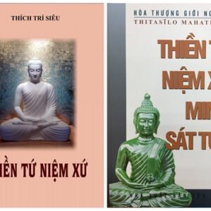 Combo Thiền Bốn Niệm Xứ Và Thiền Tứ Niệm Xứ Minh Sát Tuệ -Thích Trí Siêu & Hòa Thượng Giới Nghiêm