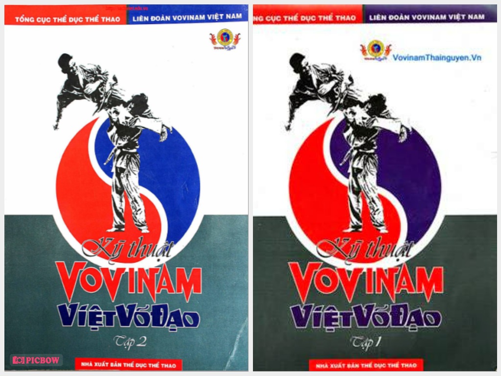 Ky-Thuat-Vovinam-Viet-Vo-Dao-Tap-12-Le-Quoc-An.png