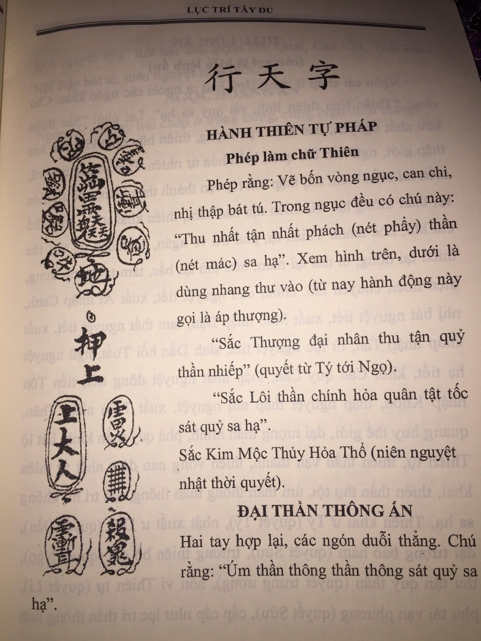 Luc-Tri-Tay-Du-Mat-Tong-Thuong-Thua-Duc-The-Ton-2.jpg