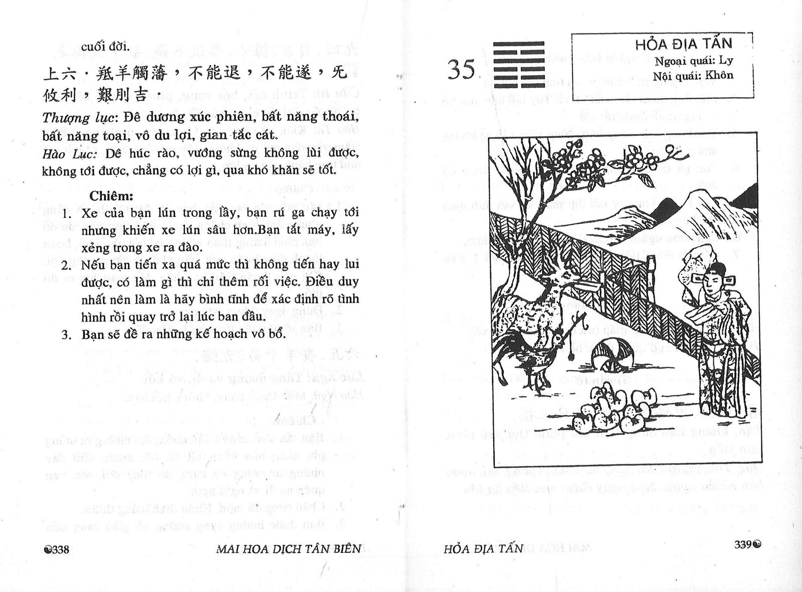 Mai-Hoa-Dich-Tan-Bien-Than-Co-Dieu-Toan-Vuu-Sung-Hoa-4-scaled-1.jpg