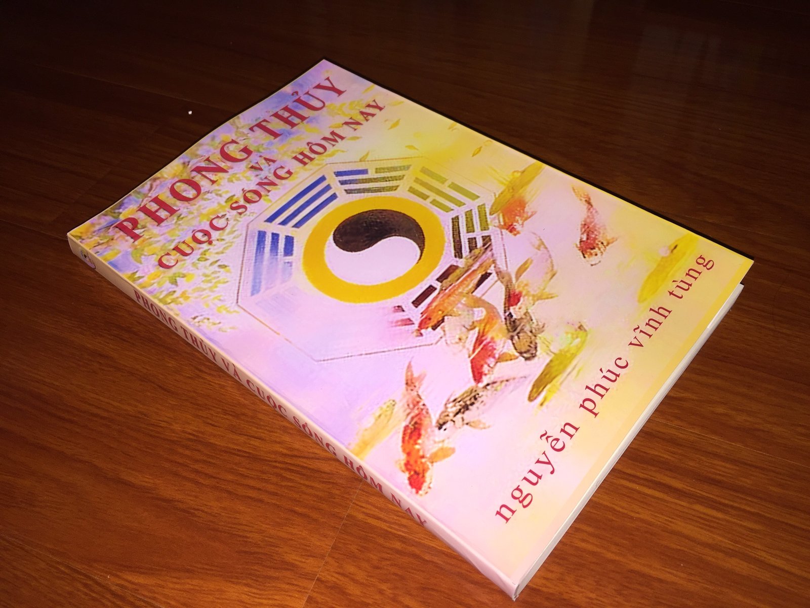 Phong-Thuy-Trong-Cuoc-Song-Hom-Nay-–-Nguyen-Phuc-Vinh-Tung-6.jpg