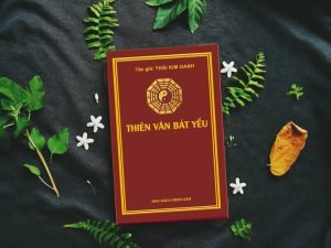 Kim Oanh Ký V