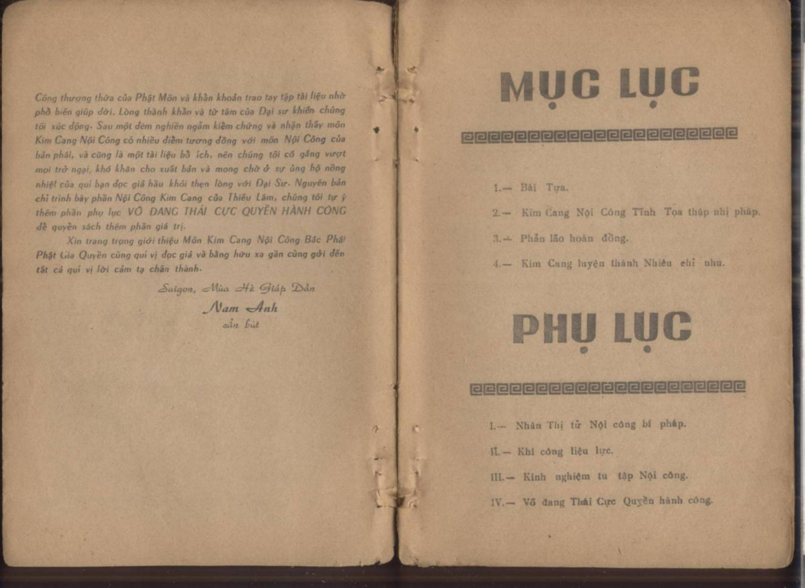 Thieu-Lam-Kim-Cang-Noi-Cong-Nam-Anh3.png