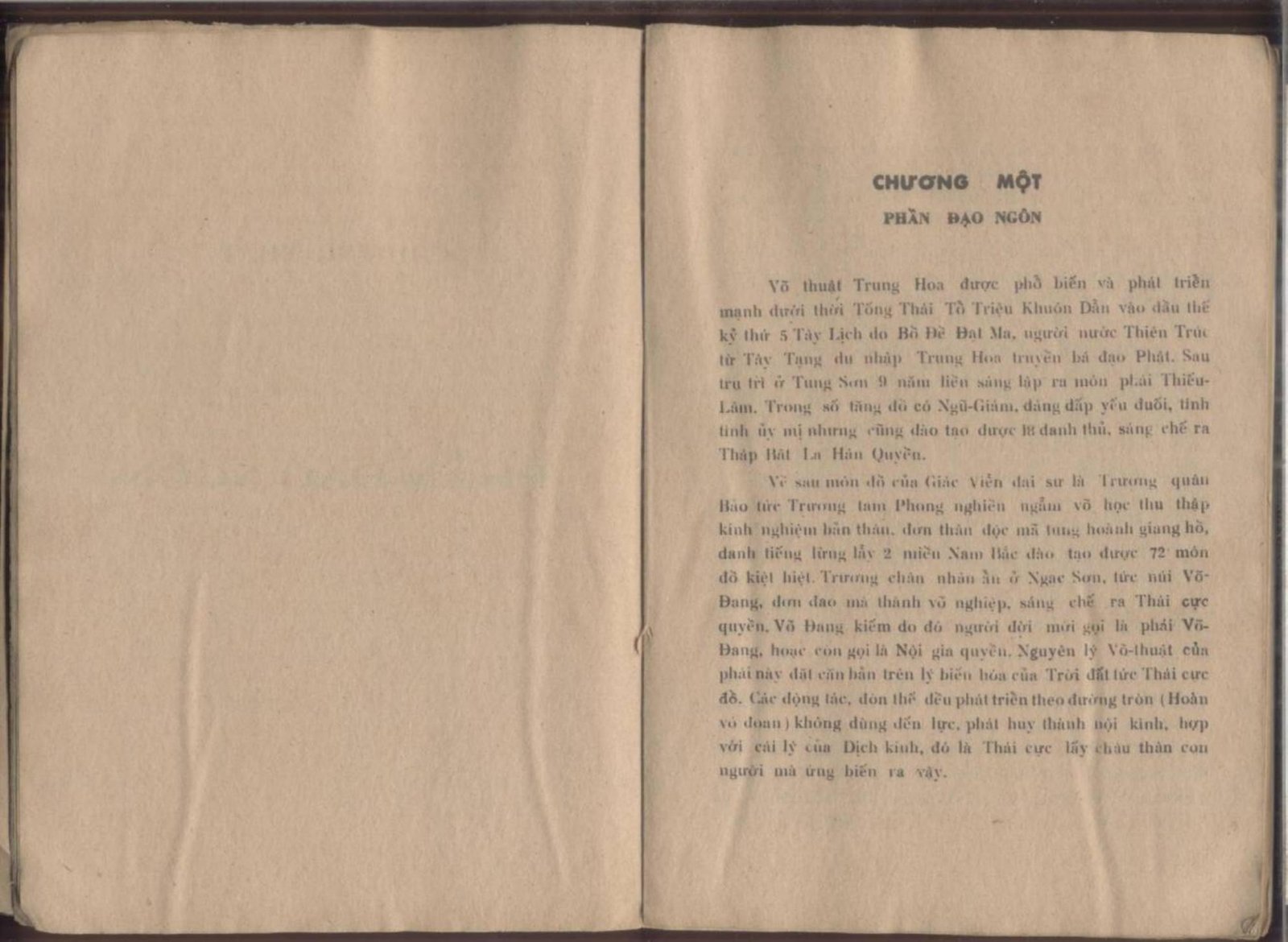 Vo-Dang-Noi-Cong-Bi-Phap-Nam-Anh-3.jpg