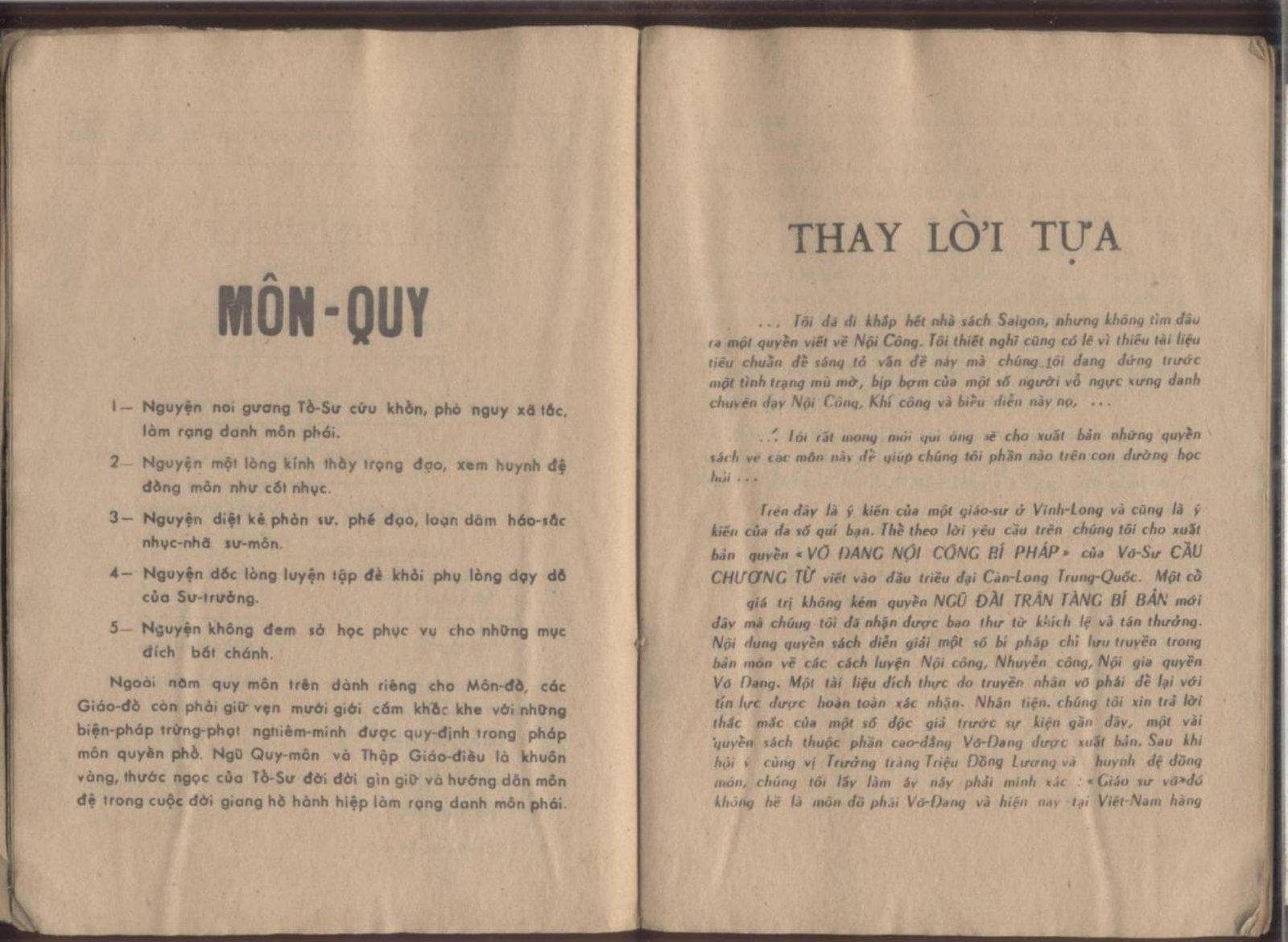 Vo-Dang-Noi-Cong-Bi-Phap-Nam-Anh-5.jpg