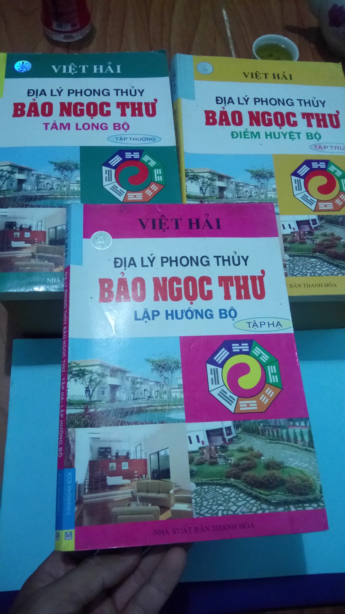 a-ly-phong-thuy-bao-ngoc-thu-Viet-Hai.jpg
