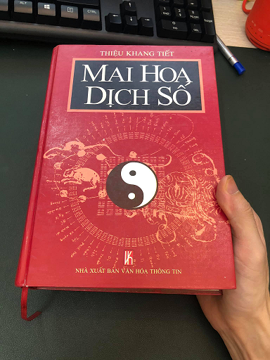 mai-hoa-dich-so-ong-van-tung-dich.bmp