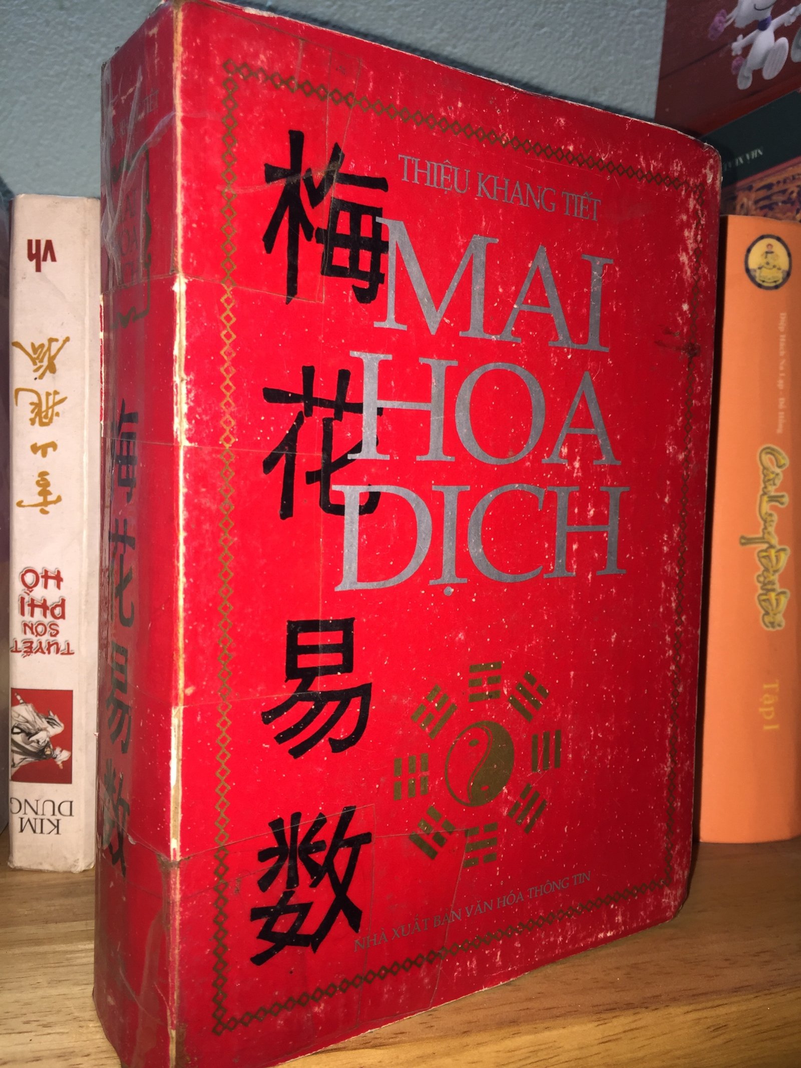 mai-hoa-dich-so.jpg
