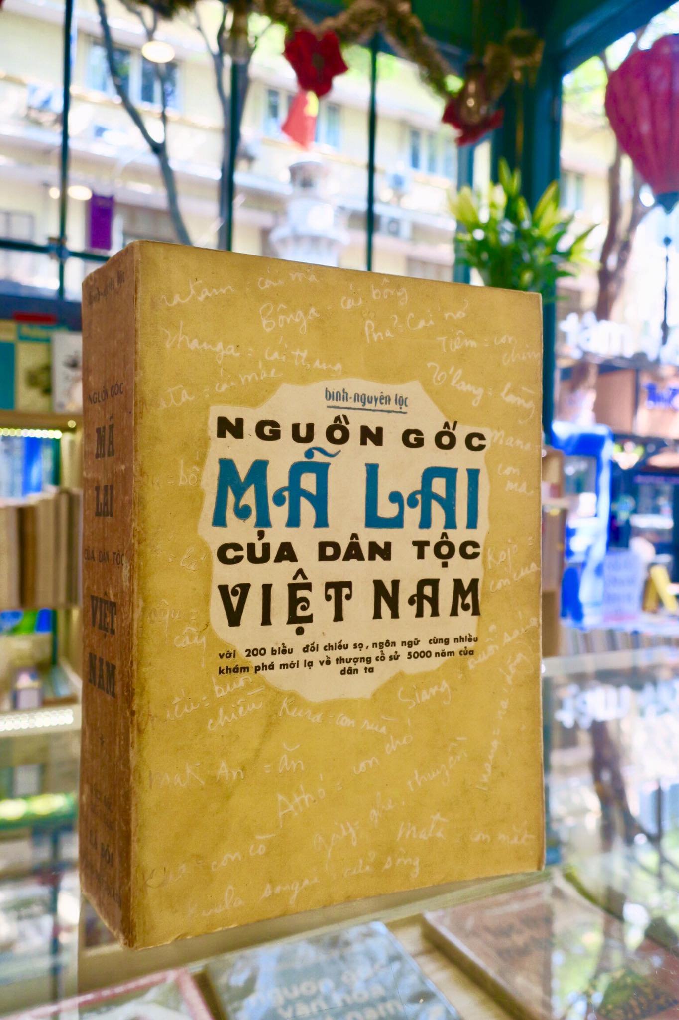 nguon-goc-ma-lai-cua-dan-toc-viet-nam-3.jpg