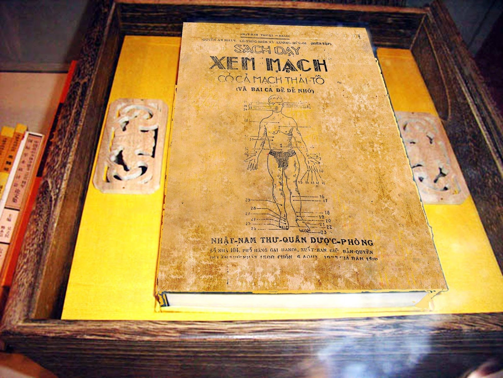 sach-day-xem-mach-co-ca-mach-thai-to.jpg