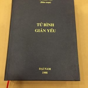 Tử Bình Giản Yếu - Vi Thiên Lý