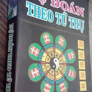 Dự Đoán Theo Tứ Trụ (Bàn Về Cát Thần) - Thiệu Vĩ Hoa