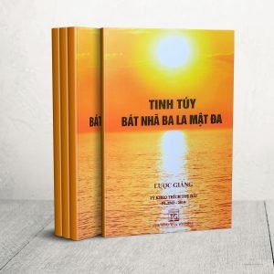 Tinh Túy Bát Nhã Ba La Mật Đa - Thích Tuệ Hải