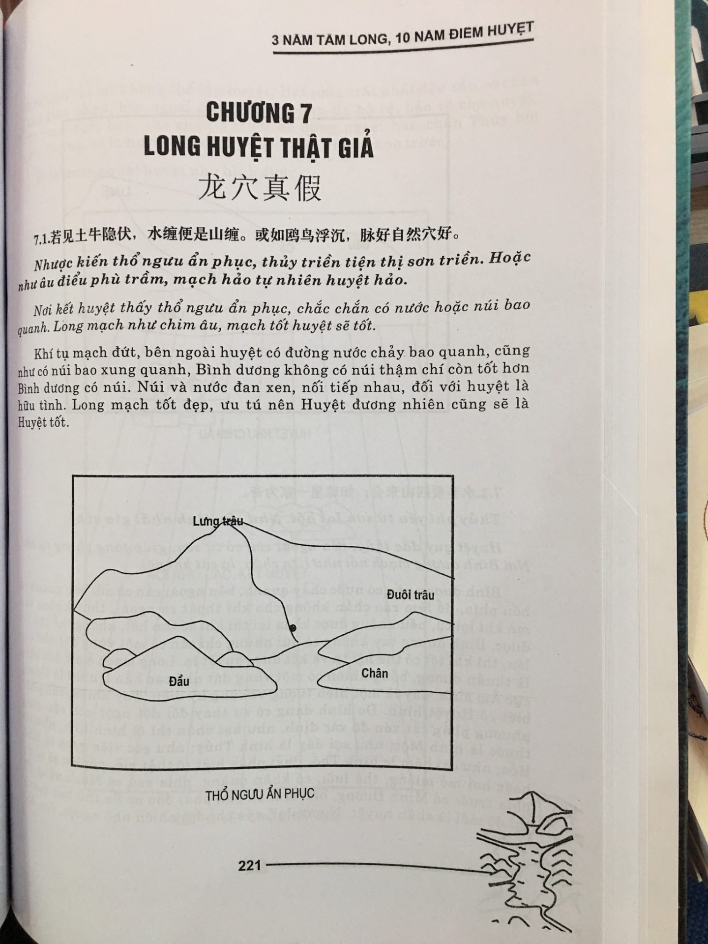 282302545_3175833542675695_2518324707788578037_n.jpg