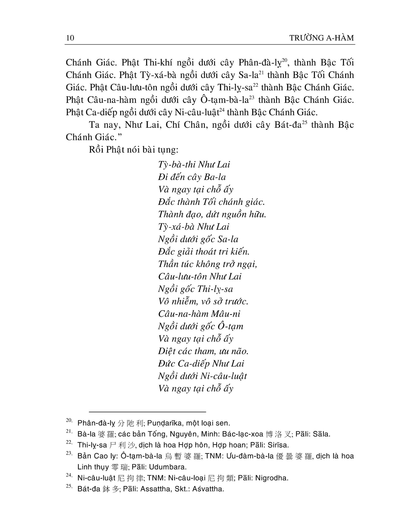 aham-short-07.jpg