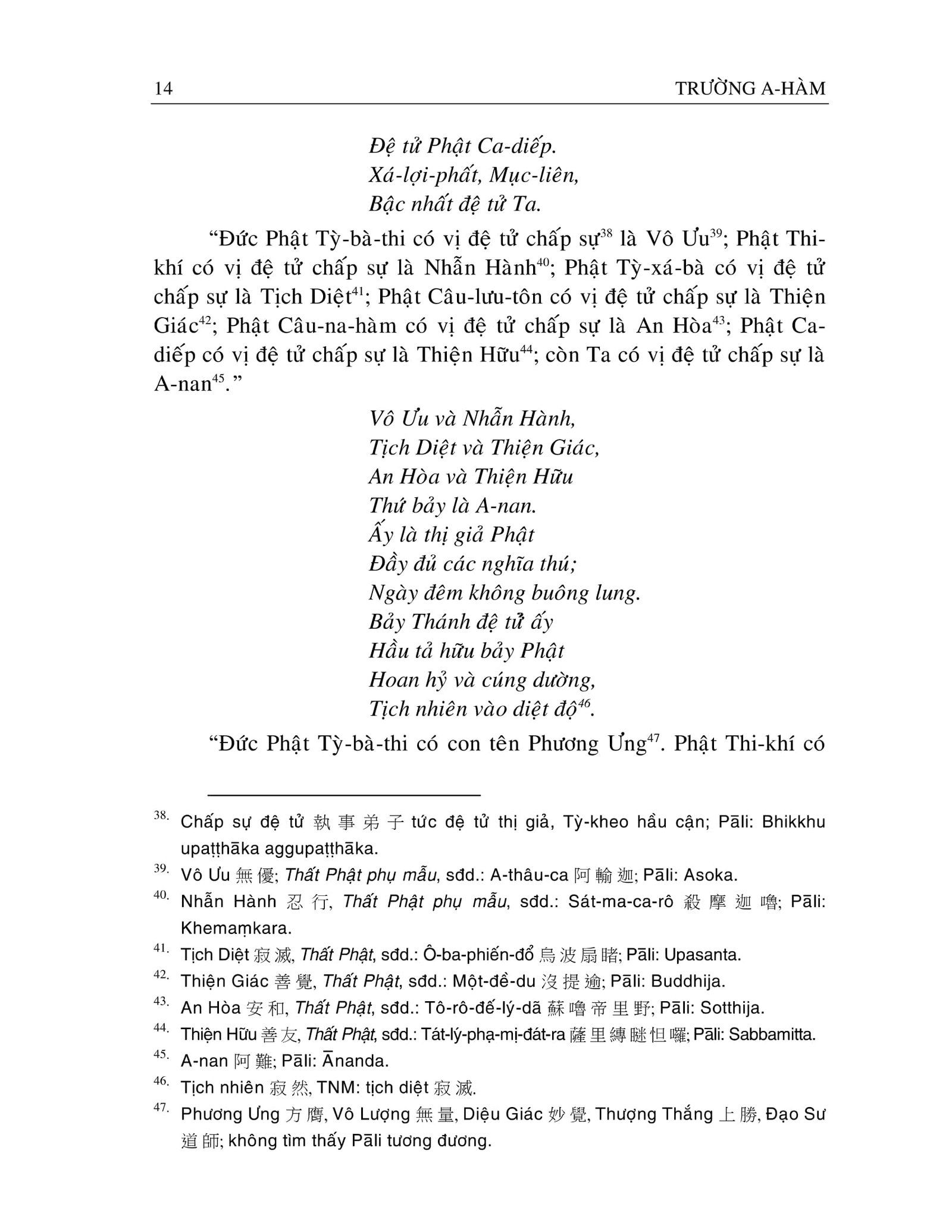 aham-short-11.jpg