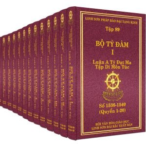 Bộ Tỳ Đàm-Vi Diệu Pháp-Thắng pháp-Vô tỉ pháp