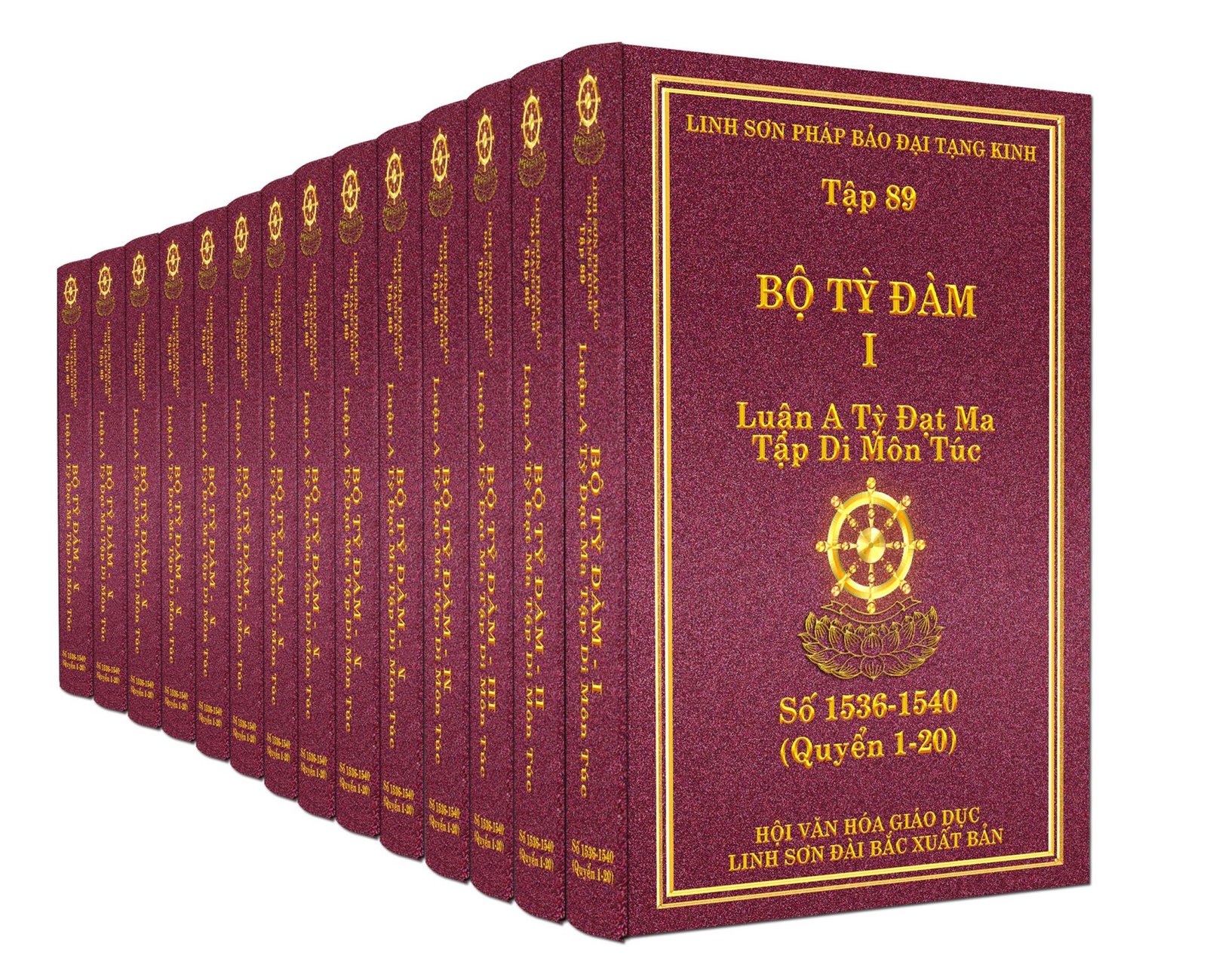 bo-ty-dam.jpg