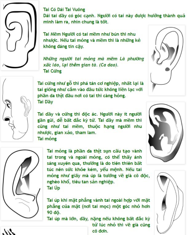 Doi-nguoi-dan-ong-qua-tuong-hoc-va-quan-niem-3864671..jpg