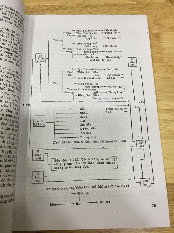 335440717_586587660183585_2255302540820852800_n.jpg