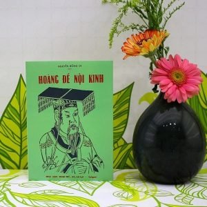 Hoàng Đế Nội Kinh – Nguyễn Đồng Di