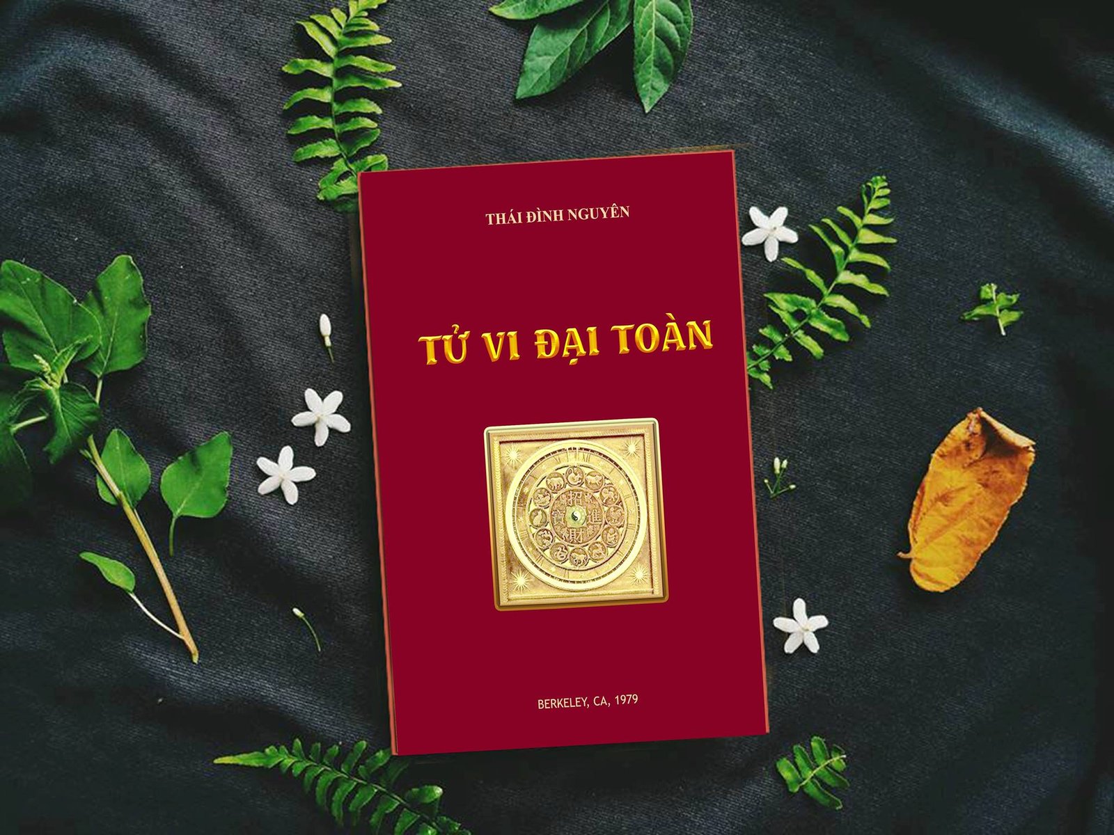 Tu-Vi-Dai-Toan-Thai-Dinh-Nguyen1.jpg