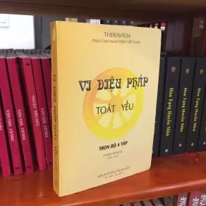Vi Diệu Pháp Toát Yếu Quyển 2 (4 Tập) - Sư Tường Nhân