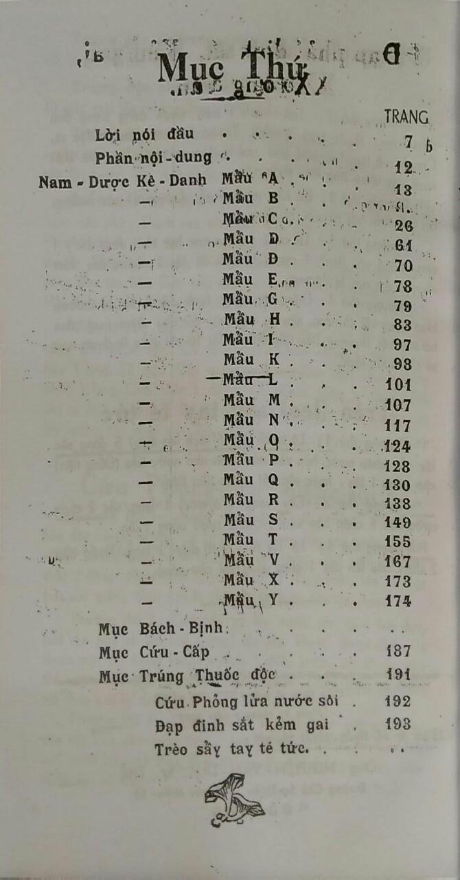 56464334_2266513216949829_6070009844155285504_n.jpg