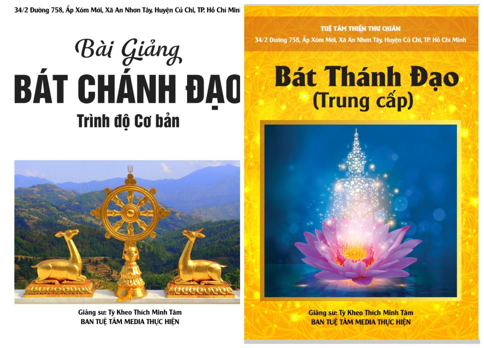 Bai-Giang-Bat-Chanh-Dao.jpg