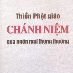 Thiền Phật Giáo Chánh Niệm Qua Ngôn Ngữ Thông Thường (Bốn Nền Tảng Chánh Niệm)