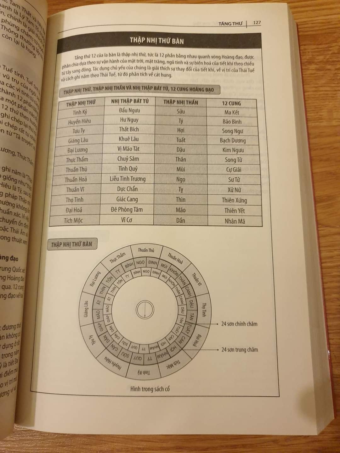 139868638_240902154399418_8432080211398977643_n.jpg