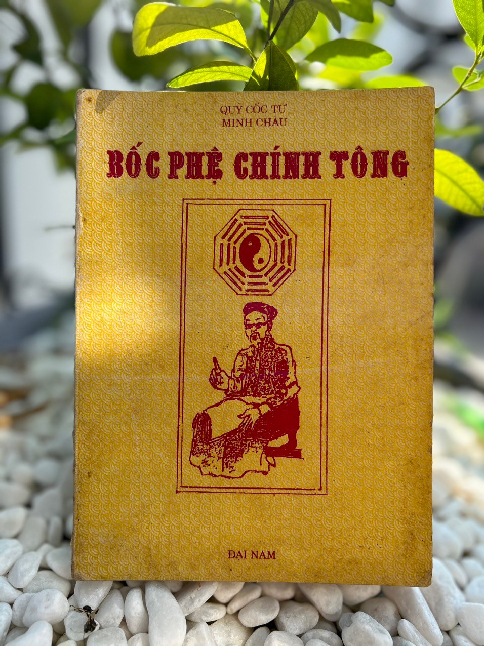 Boc-Phe-Chinh-Tong-–-Quy-Coc-Tu-Minh-Chau.jpg