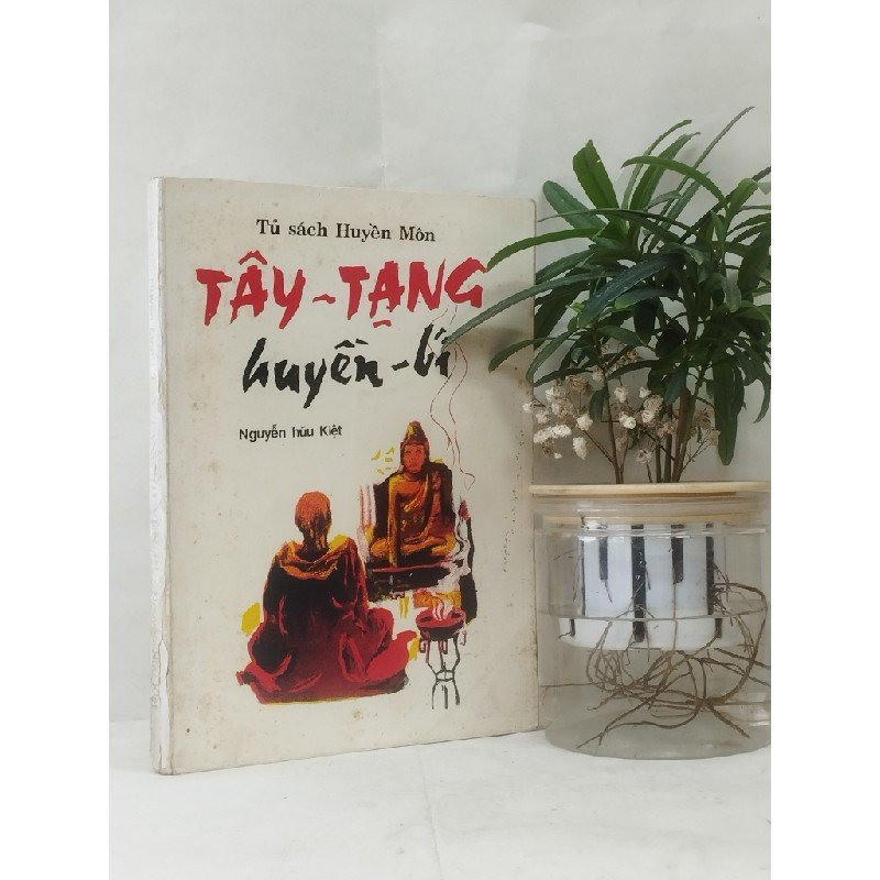 Tay-Tang-Huyen-Bi.jpg