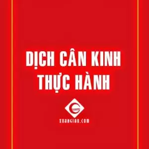 Dịch Cân Kinh Thực Hành - Trần Tâm Viễn