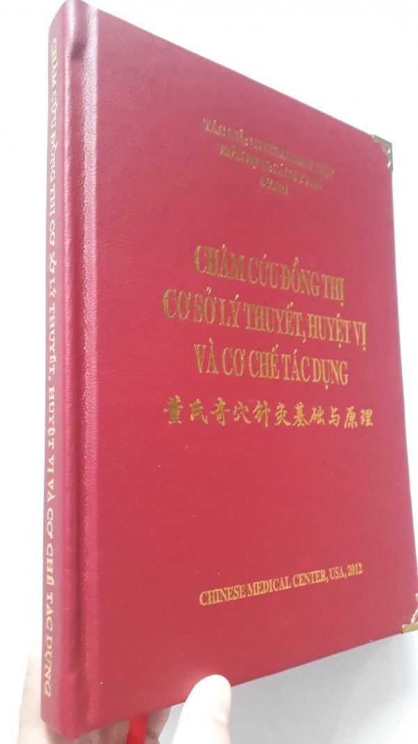 Cham-Cuu-Dong-Thi-Co-So-Ly-Thuyet-Huyet-Vi-Va-Co-Che-Tac-Dung.jpg
