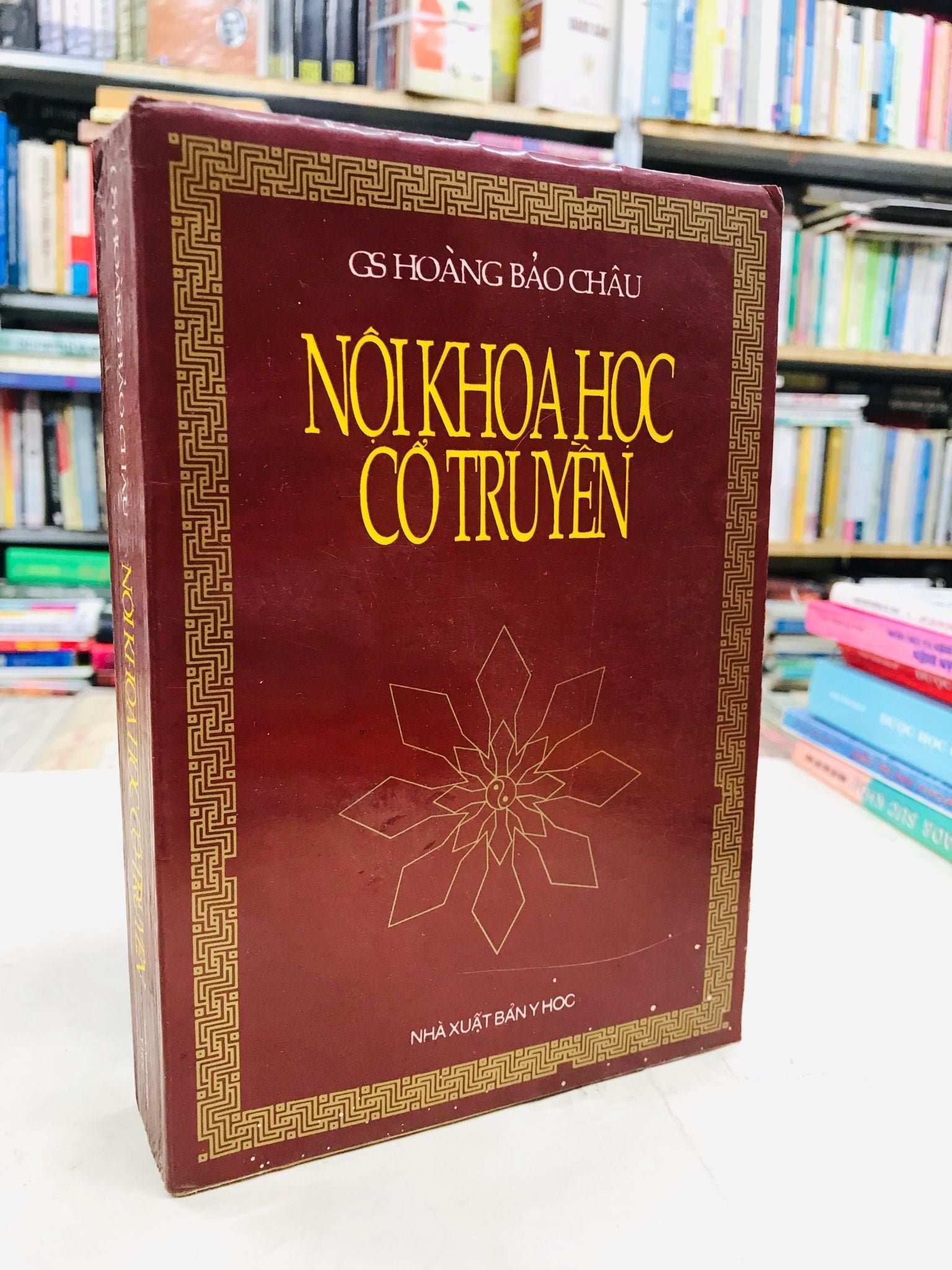 Noi-khoa-y-hoc-co-truyen-hoang-bao-chau.jpg